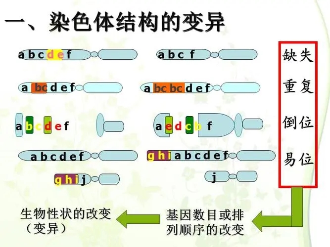 顯微鏡.jpg 顯微鏡.jpg