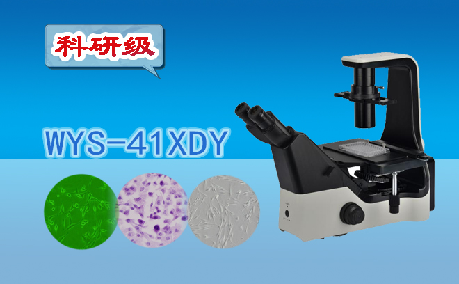 顯微鏡.jpg 顯微鏡.jpg