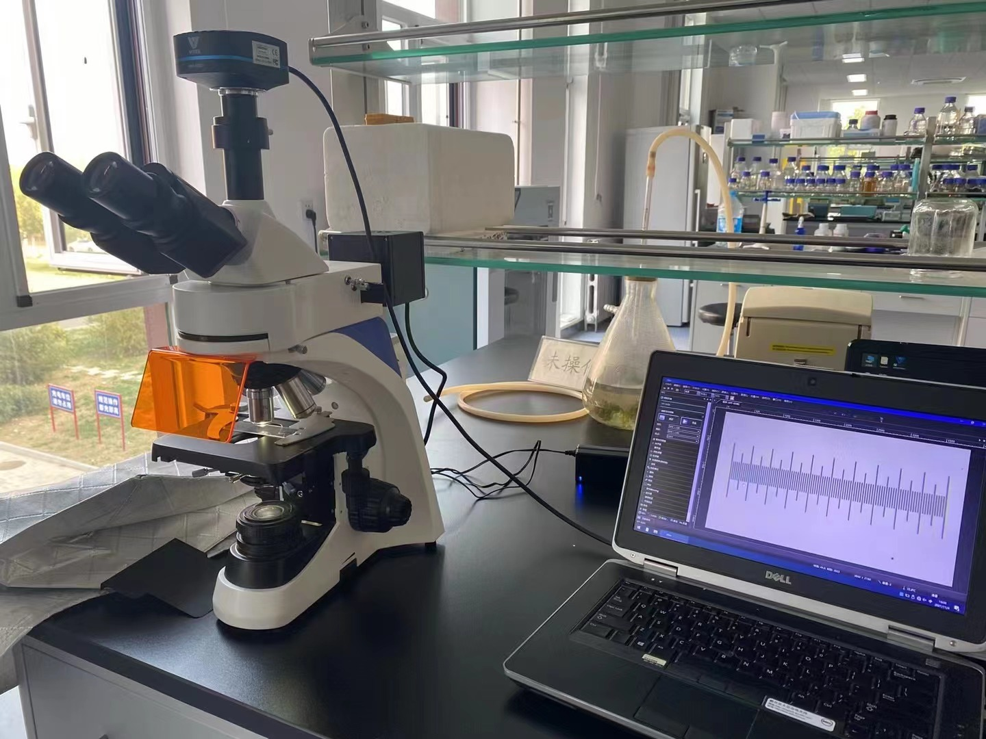 顯微鏡.png 顯微鏡.png